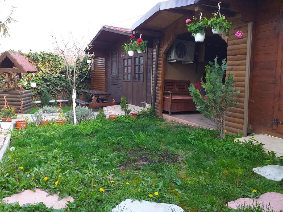 Ferienwohnung Casa Mola Mangalia Exterior foto