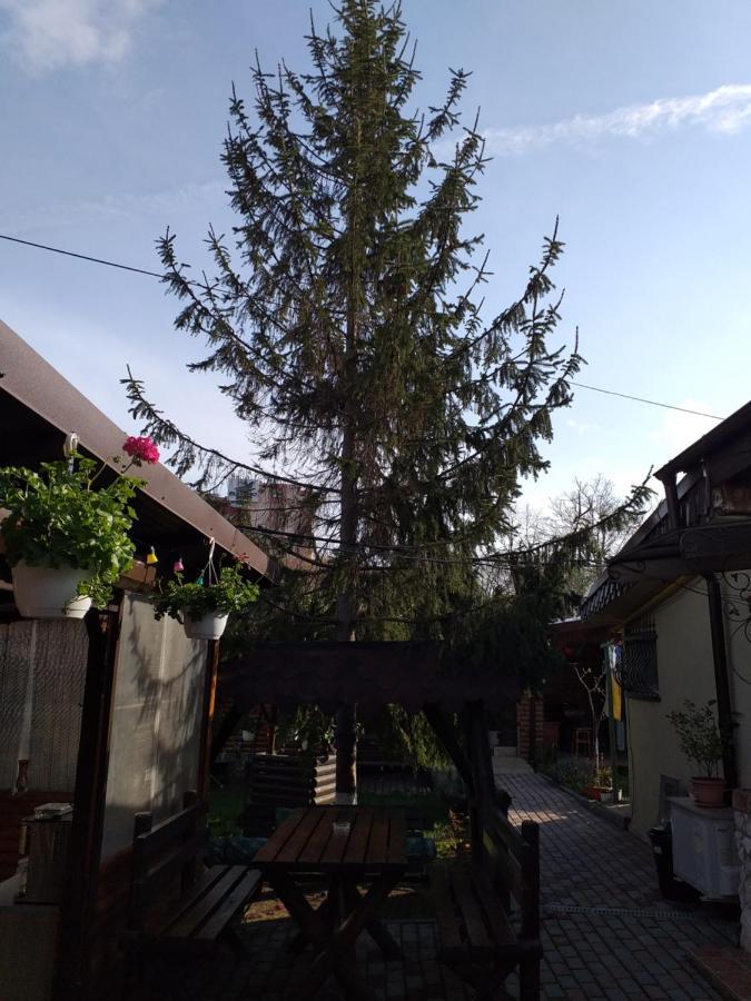 Ferienwohnung Casa Mola Mangalia Exterior foto