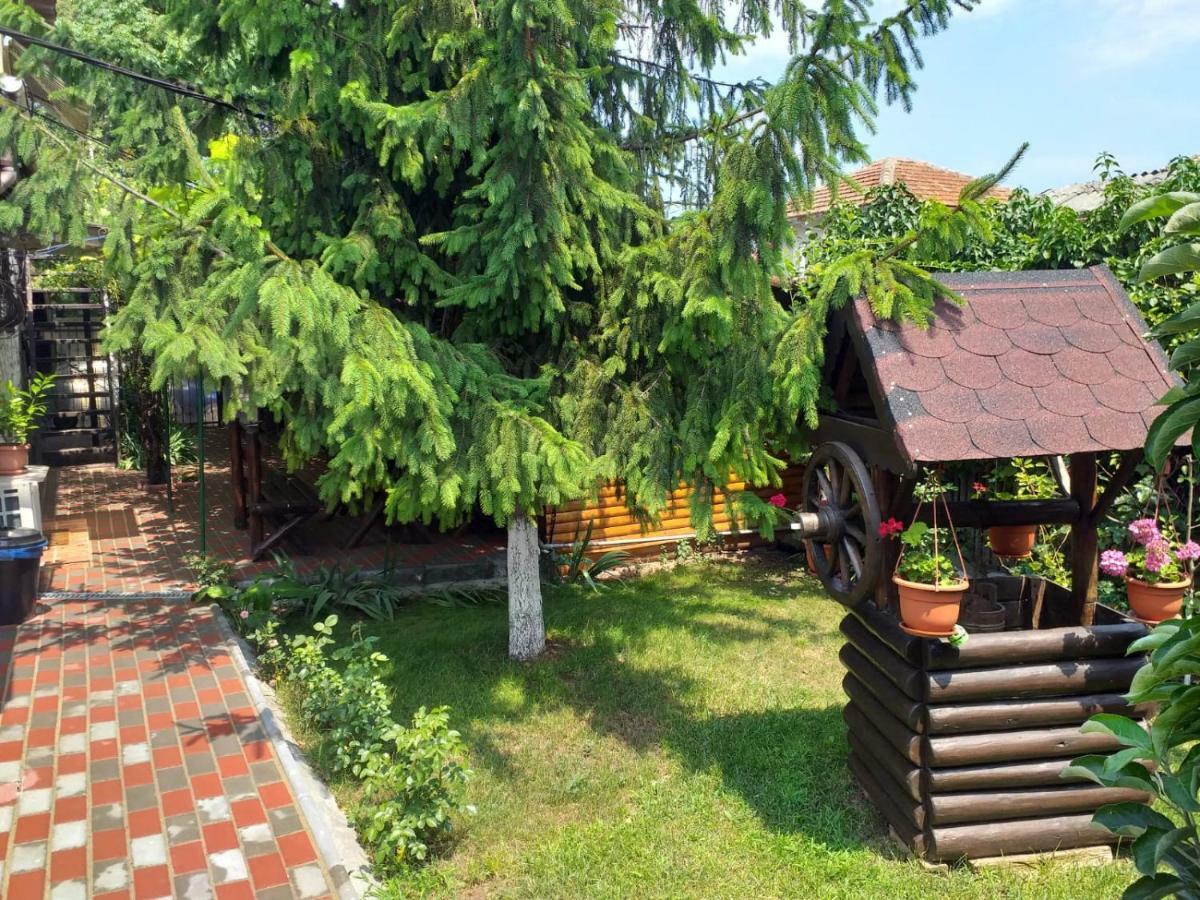 Ferienwohnung Casa Mola Mangalia Exterior foto